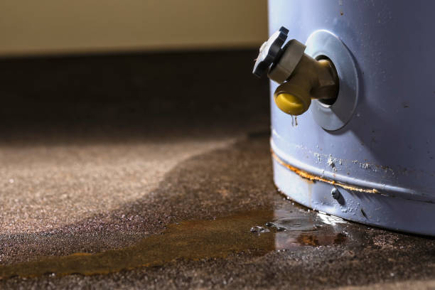Best 24-hour water damage restoration  in Shreveport, LA