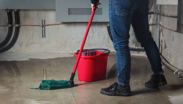 Best Commercial water damage restoration  in Shreveport, LA