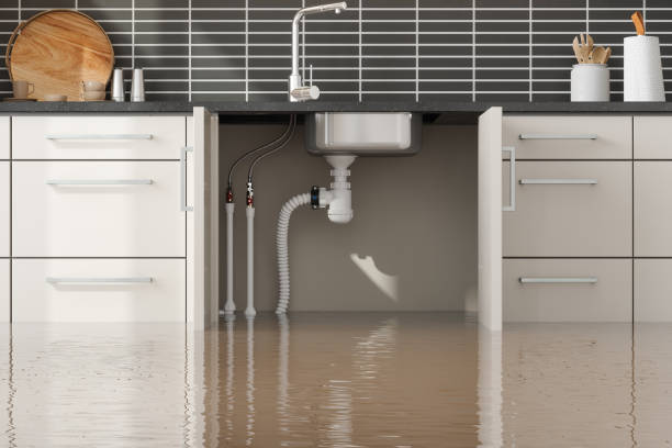 Best Water damage restoration insurance claims  in Shreveport, LA