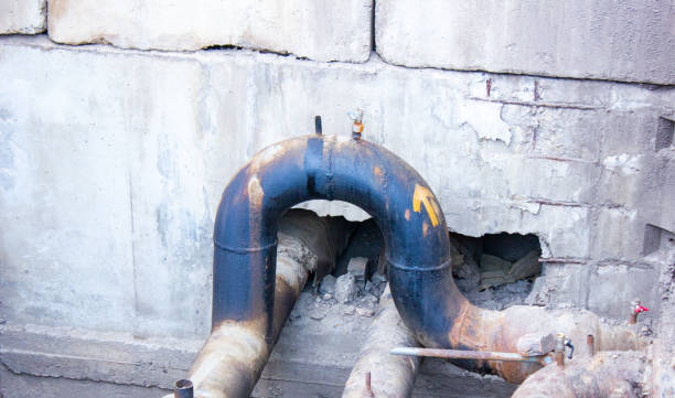 Best Mold removal after water damage  in Shreveport, LA