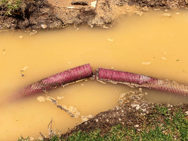 Best Water damage restoration near me  in Shreveport, LA