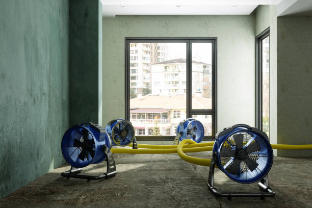 Best Emergency water damage restoration  in Shreveport, LA
