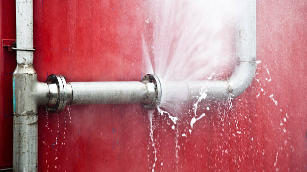 Best Ceiling water damage repair  in Shreveport, LA